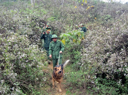 “Đồn là nhà, biên giới là quê hương...”