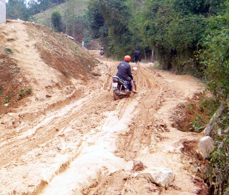 Đám cưới, đám ma, đi viện đều bằng... xe trâu