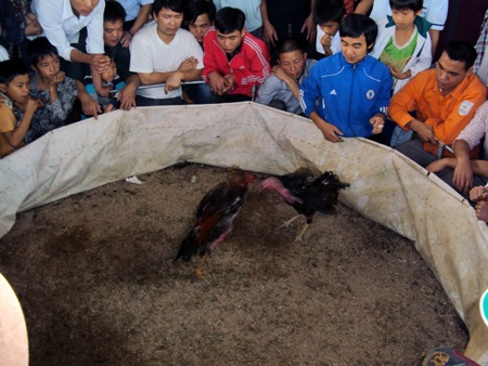 Linh thiêng Lễ hội Chín Mường