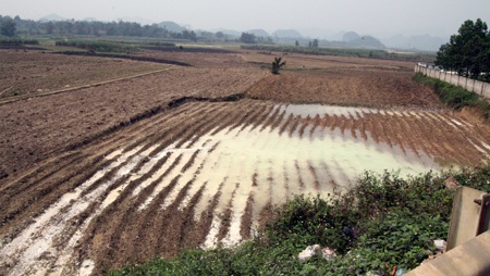 Nhà máy chế biến đá nhuộm trắng sông Dinh 