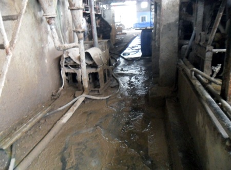 Hàng trăm người dân nghẹt thở vì nhà máy giấy