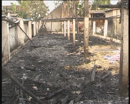 Trang trại bốc cháy, gần 600 con lợn, gà bị quay chín