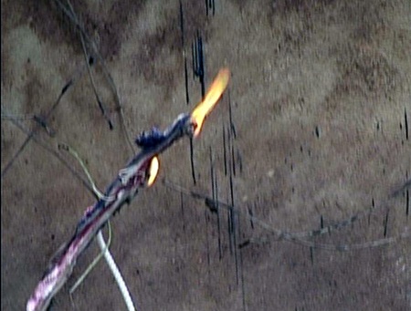 Trang trại bốc cháy, gần 600 con lợn, gà bị quay chín