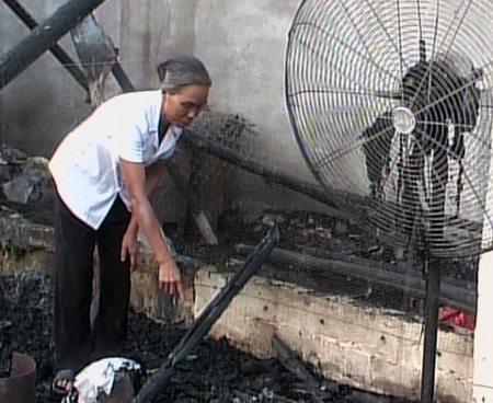 Trang trại bốc cháy, gần 600 con lợn, gà bị quay chín