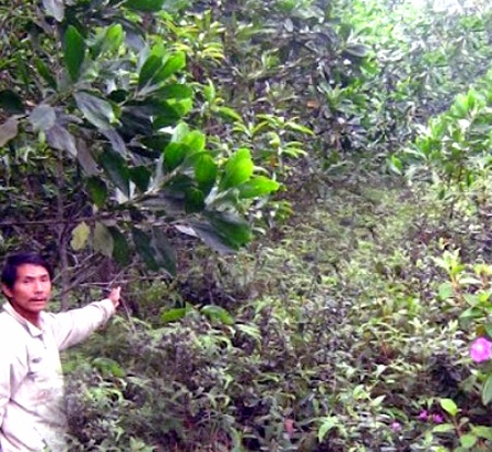 Hai phó ban cấp huyện “dính chàm” lại chuyển... công tác