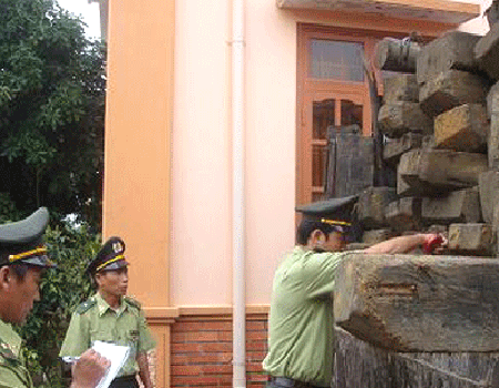 Nhận hối lộ, phó hạt trưởnǵ kiểm lâm bị khởi tố