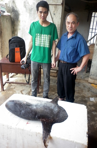 Tặng cá Mặt trăng cho Bảo tàng Thiên nhiên Việt Nam 