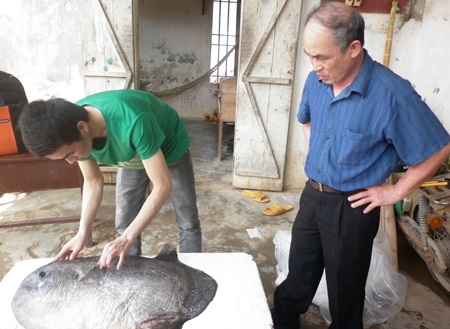 Tặng cá Mặt trăng cho Bảo tàng Thiên nhiên Việt Nam 