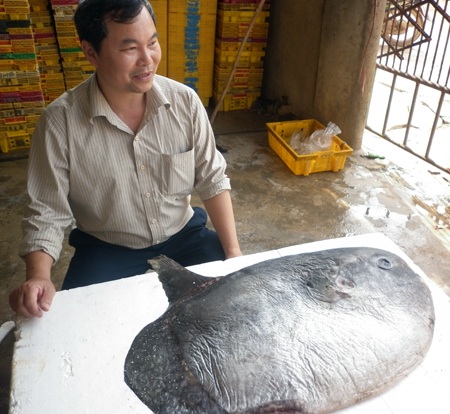 Tặng cá Mặt trăng cho Bảo tàng Thiên nhiên Việt Nam 