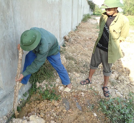 Cá chết trắng đập Chọ Ràn 