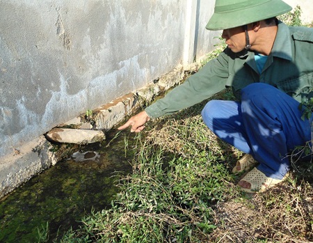 Cá chết trắng đập Chọ Ràn 