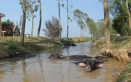 Xứ Nghệ quay quắt trong nắng nóng