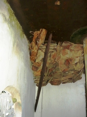 Di tích lịch sử quốc gia kêu cứu