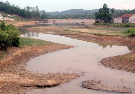 Ngành nông nghiệp oằn mình trong nắng hạn kéo dài