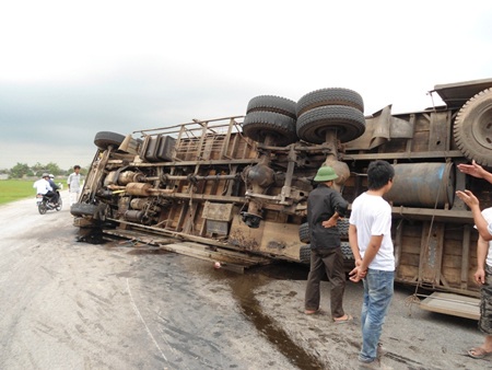 Xe tải lật, hàng trăm con lợn chạy tán loạn giữa đường