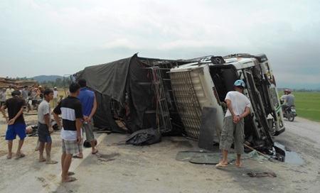 Xe tải lật, hàng trăm con lợn chạy tán loạn giữa đường