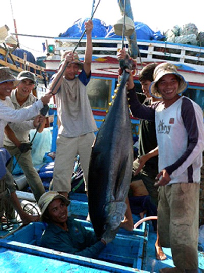 Ngư dân kể chuyện đời đi biển