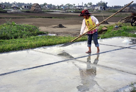 Tuổi thơ trên đồng muối trắng.