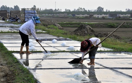 Tuổi thơ trên đồng muối trắng.