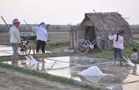 Tuổi thơ trên đồng muối trắng.