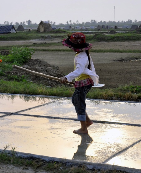 Tuổi thơ trên đồng muối trắng.