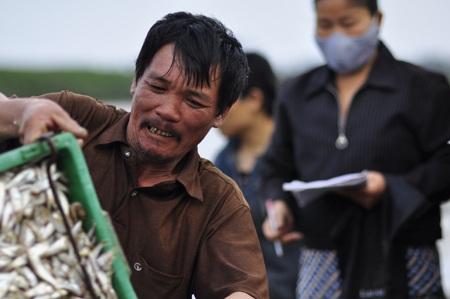 Ngư dân được mùa cá mòi - 20