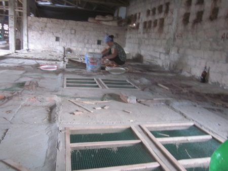 Thu tiền tỷ nhờ nuôi rắn độc