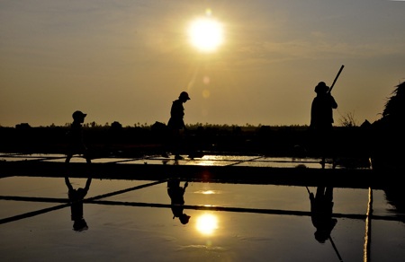 Mặn chát đời muối khi các cụ ở vào cái tuổi xế chiều.