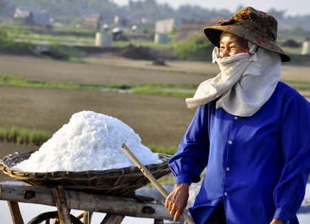 Những mẻ muối lên xe trong nắng nóng.