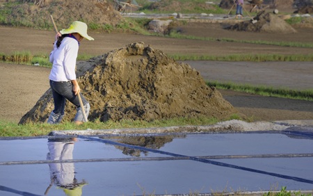 Những đứa trẻ theo mẹ ra ruộng muối cào đất làm muối giữa cái nắng như thiêu như đốt.