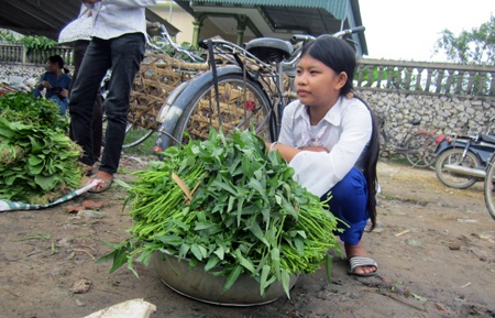 Hằng ngày sau mỗi buổi học là em Dương Ngọc Nhung hái rau muống ra chợ ngồi bán.