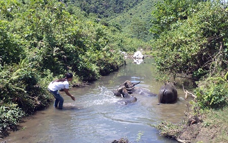 Những ngày này khi các thí sinh khác lo làm thủ tục chuẩn bị lên đường nhập học, 