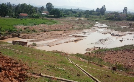 Nước đã rút hẳn để lại bùn đất vùi lấp hơn 12ha lúa của bà con.