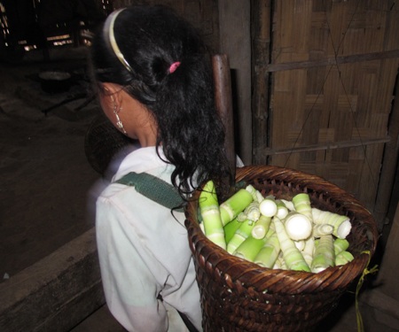 Lên rừng lấy củi