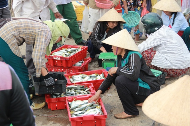 Bộ NN&PTNT khẳng định không có hải sản tầng đáy khai thác ở khu vực dưới 20 hải lý tại vùng biển ô nhiễm của 4 tỉnh miền Trung bán ra thị trường (Ảnh minh họa: Đăng Đức).