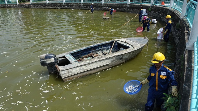 Tiến sĩ Bùi Quang Tề: Cá chết ở Hồ Tây là do con người xả thải chất độc hại xuống hồ quá nhiều (Ảnh: Mạnh Thắng).