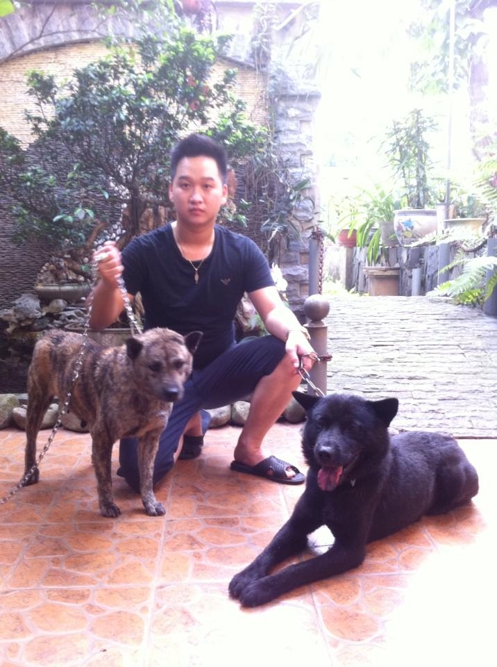 Chuyện về loài chó săn cổ xưa được dân chơi Hà Thành săn lùng - 1 Hải Anh bên hai chú chó H'Mông cộc Tun và Báo