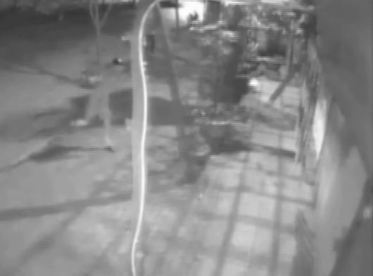 Camera an ninh ghi lại hình ảnh 2 thanh niên ném phân vào cửa nhà bà Lý