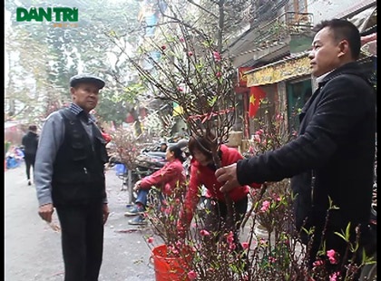 Thưởng lãm chợ hoa cổ nhất Hà Nội - 1 Chợ hoa Hàng Lược là chợ hoa cổ nhất Hà Thành