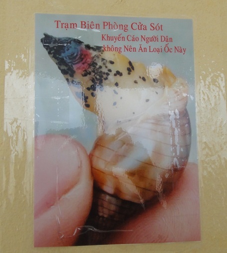 Hình ảnh về loài ốc lạ