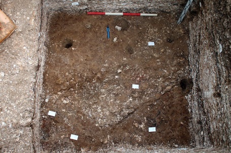 Các chuyên gia đã đào một hố rộng 4m2.