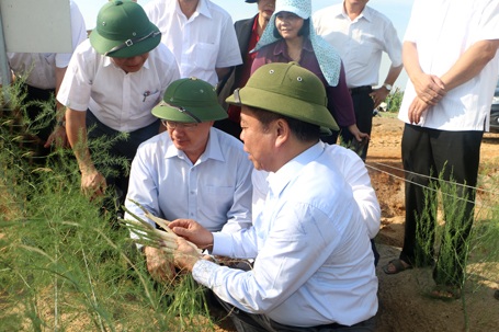 Kỳ lạ rau xanh, cây trái mỡ màng giữa “sa mạc cát” nóng 60 độ C - 4 Hệ thống tưới tiêu hiện đại dẫn nước ra thẳng những khu trồng rau trên cát trắng