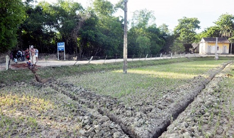 Hoãn mọi cuộc họp không cần thiết để giải cứu hàng ngàn ha lúa - 4 Người dân Sơn Lĩnh (Hương Sơn) phải khoét sâu thêm giếng để tìm nước (ảnh: Cẩm Liên)