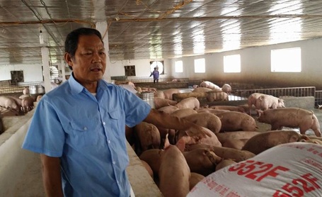 Trang trại bạc tỷ của người thương binh mang hàng chục vết thương chiến tranh - 2 Ông Cường tâm sự về ý tưởng và những khó khăn khi thành lập HTX 27-7
