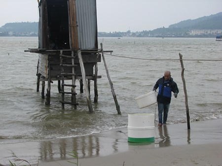 Anh Kiếm đang thả những con ngao nhỏ xuống lại bãi