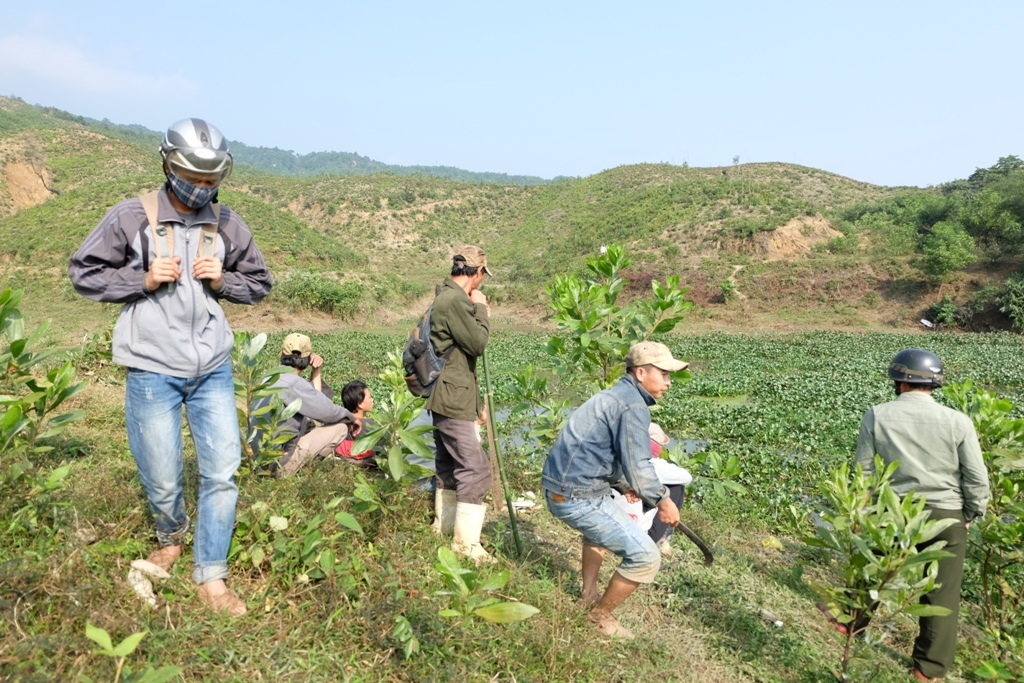 Những ngày qua, nhiều người dân ở Hòa Phú đổ xô lên núi săn rùa