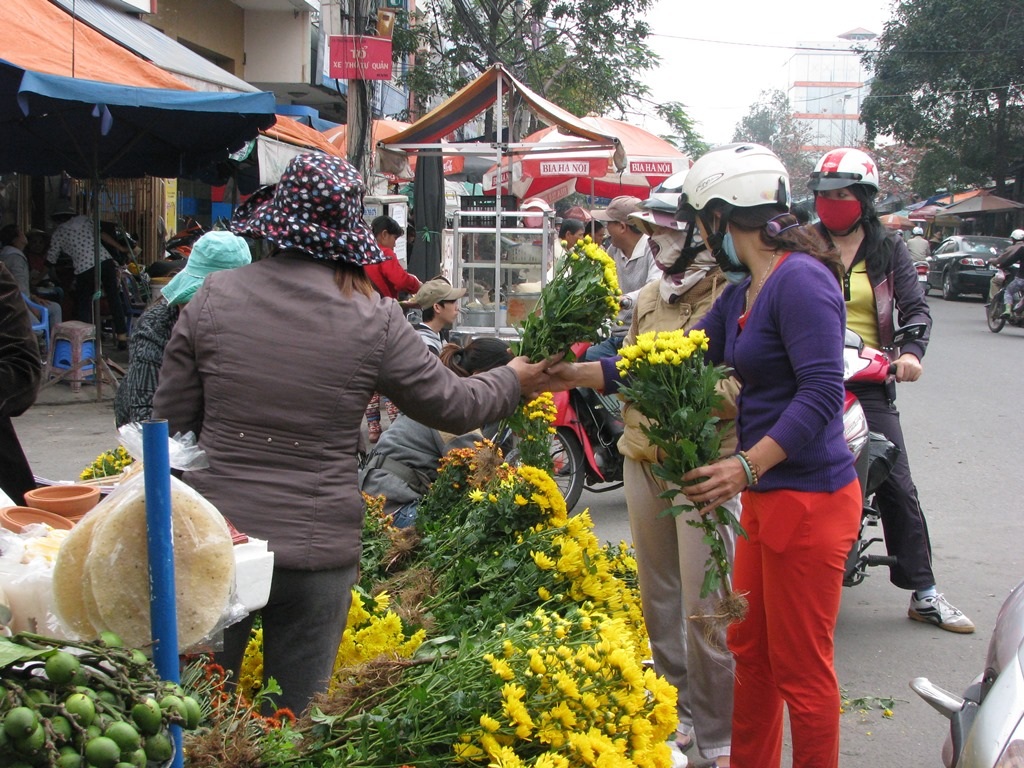 Hoa cúc có giá 7.000 - 10. 000 đồng/cây