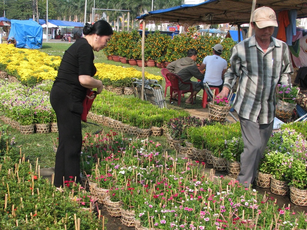 Hai vị khách này đã mua gần chục chậu hoa cẩm nhung.