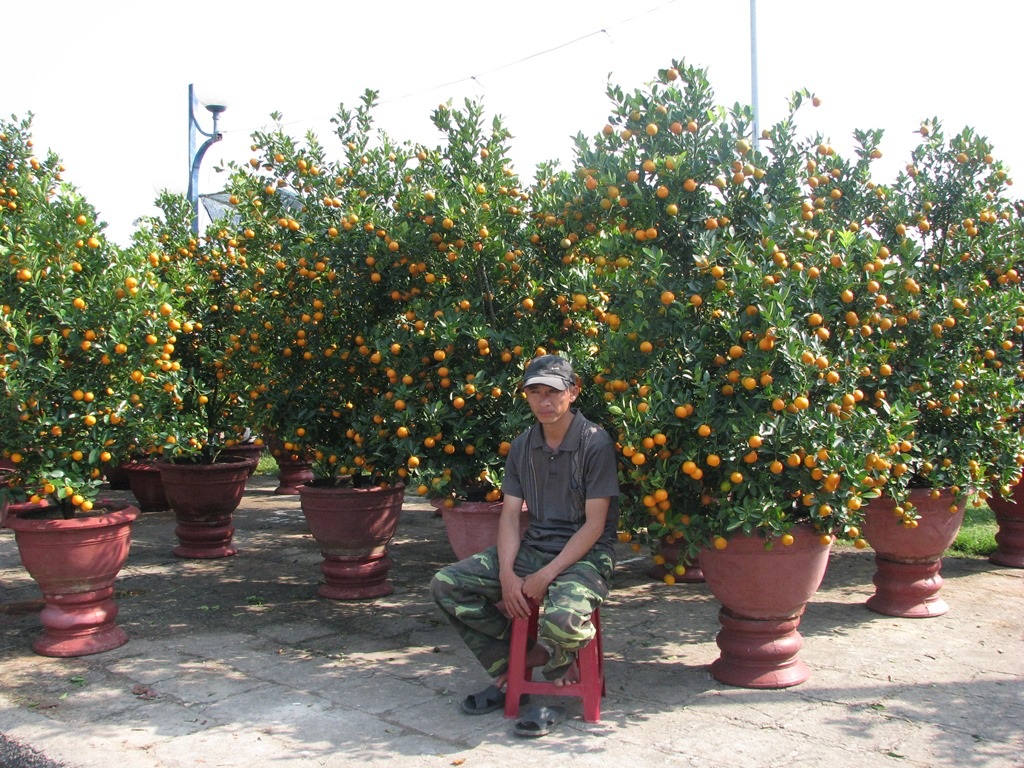 Người bán rảnh rỗi chẳng biết làm gì vì không có người mua