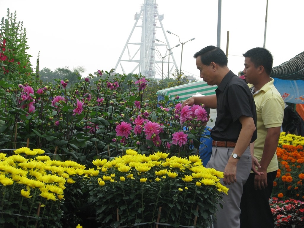 Người dân đến chợ hoa để chọn mua những chậu hoa, cây cảnh về chưng Tết